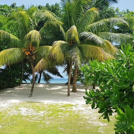 Villa Admiral إدارة آنس الكبرى المظهر الخارجي الصورة